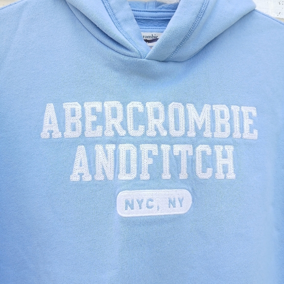 Abercrombie & Fitch Baby Blue Hoodie Pullover - Picture 3 of 6